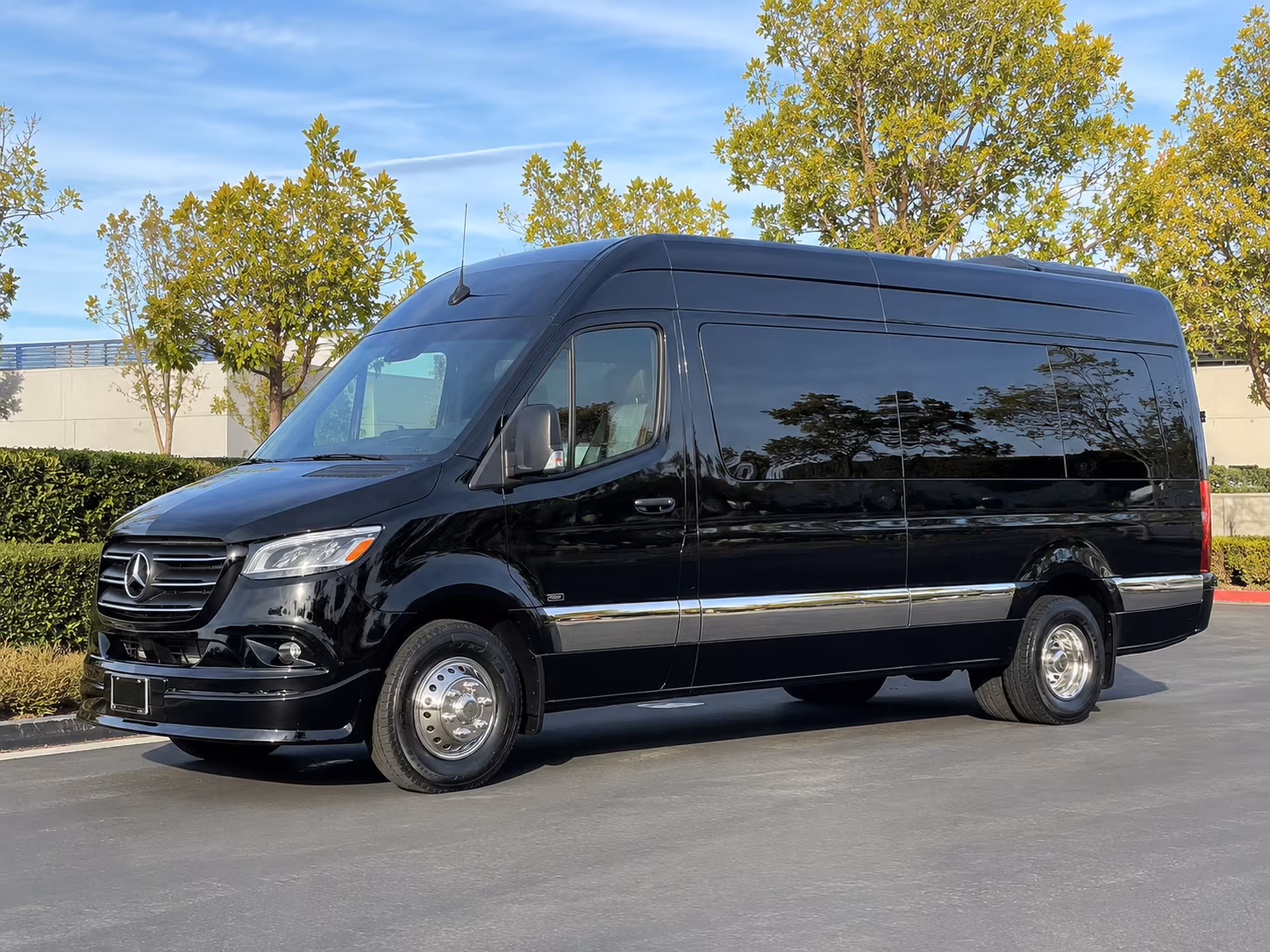 12 passenger sprinter van